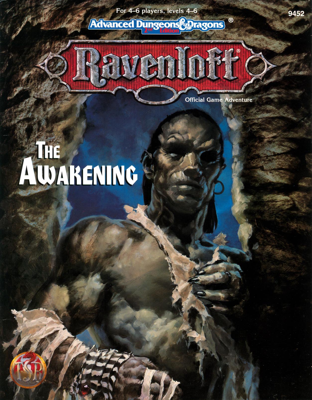 The AwakeningCover art