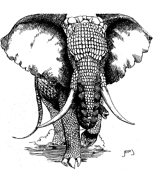 Armadillephant