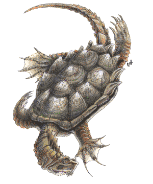 Dragon Turtle