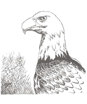 Eagle