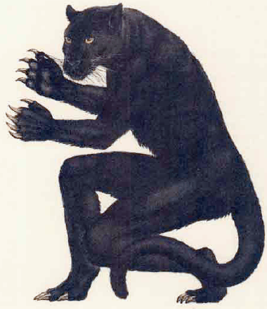 Lycanthrope, Werepanther