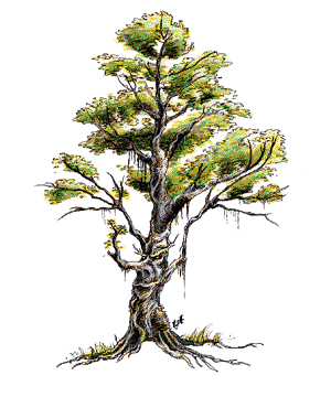 Treant