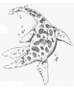 Plesiosaurus