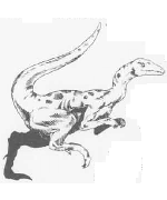 Composognathus