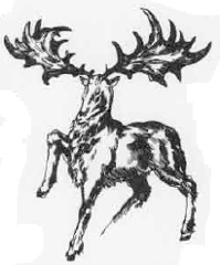 Irish Deer