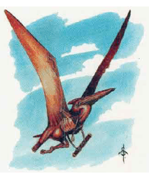 Saurial, Flyer