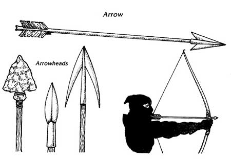 Different types of arrow heads.