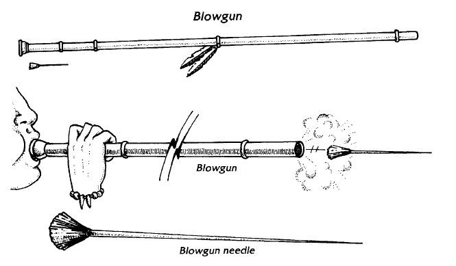 Axes, Blowguns, Bolas and Bows – Pathfinder2e.org