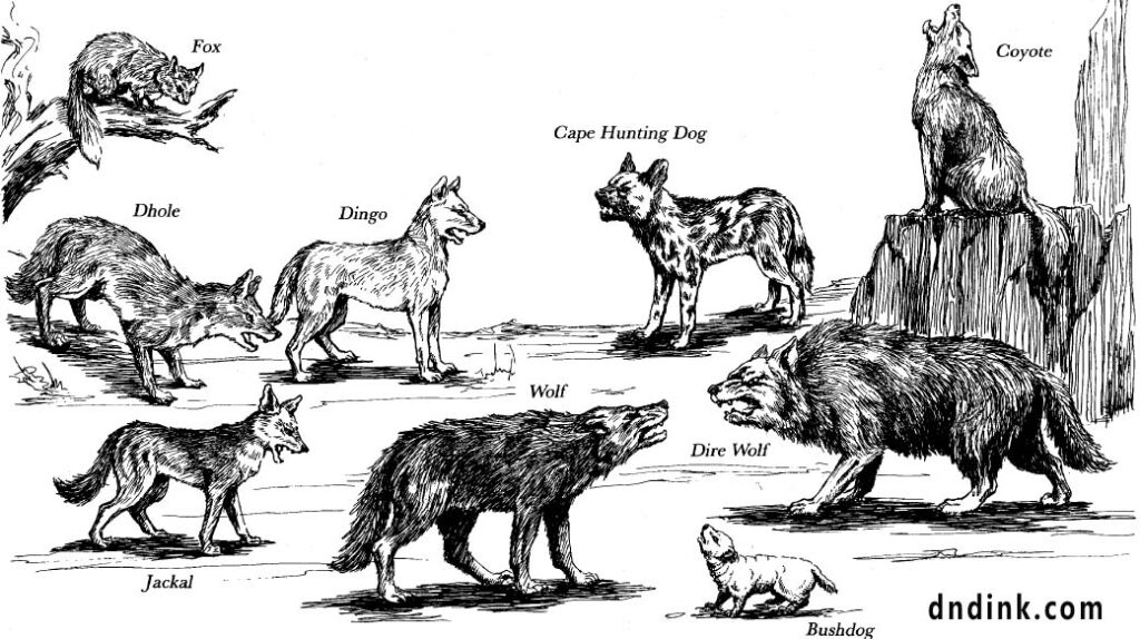 All canids shown.