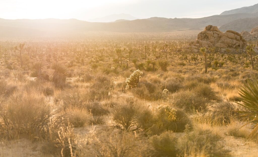 hot desert sun